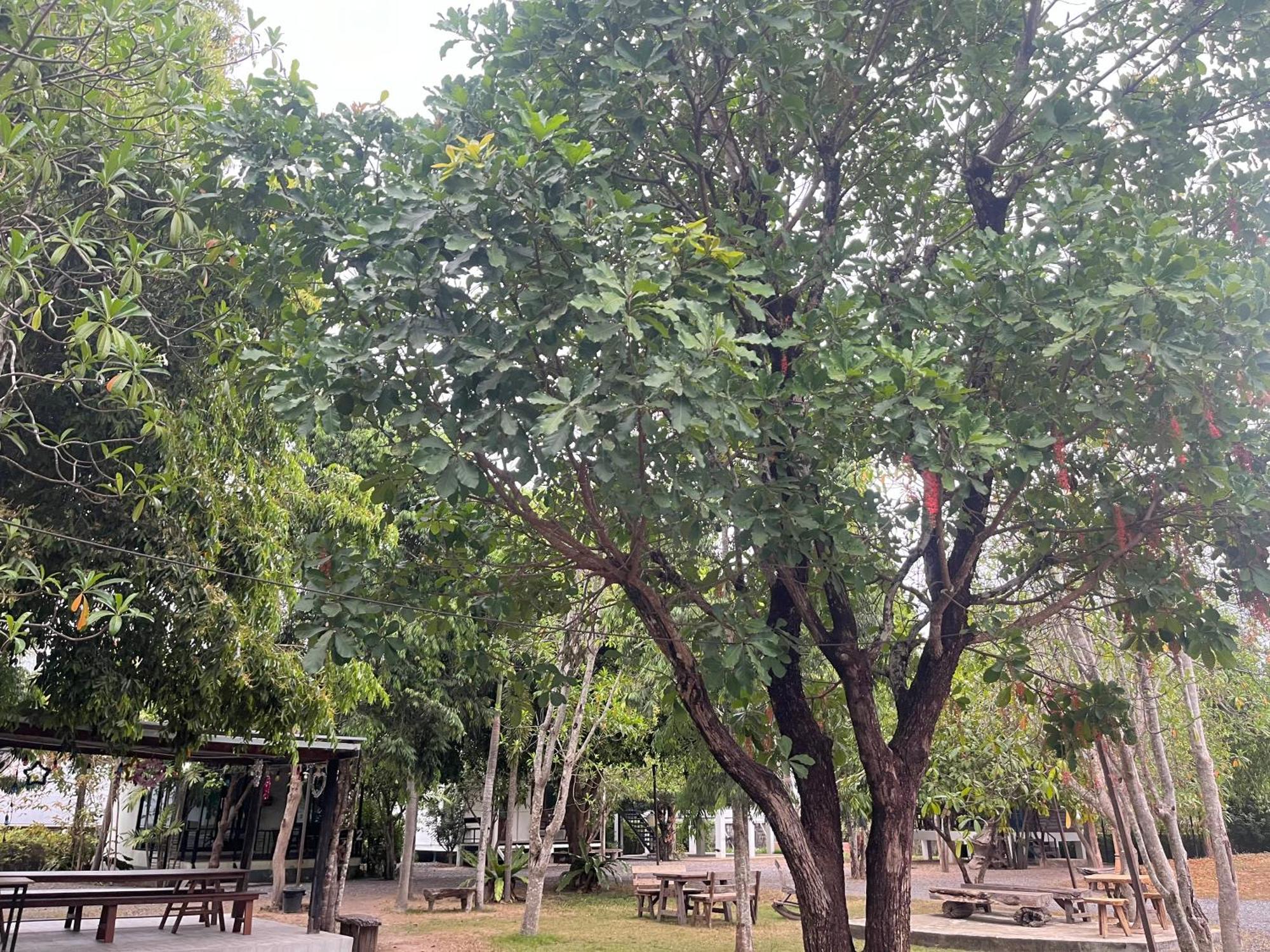 Sangkaset Resort Ban Mong Muang Экстерьер фото