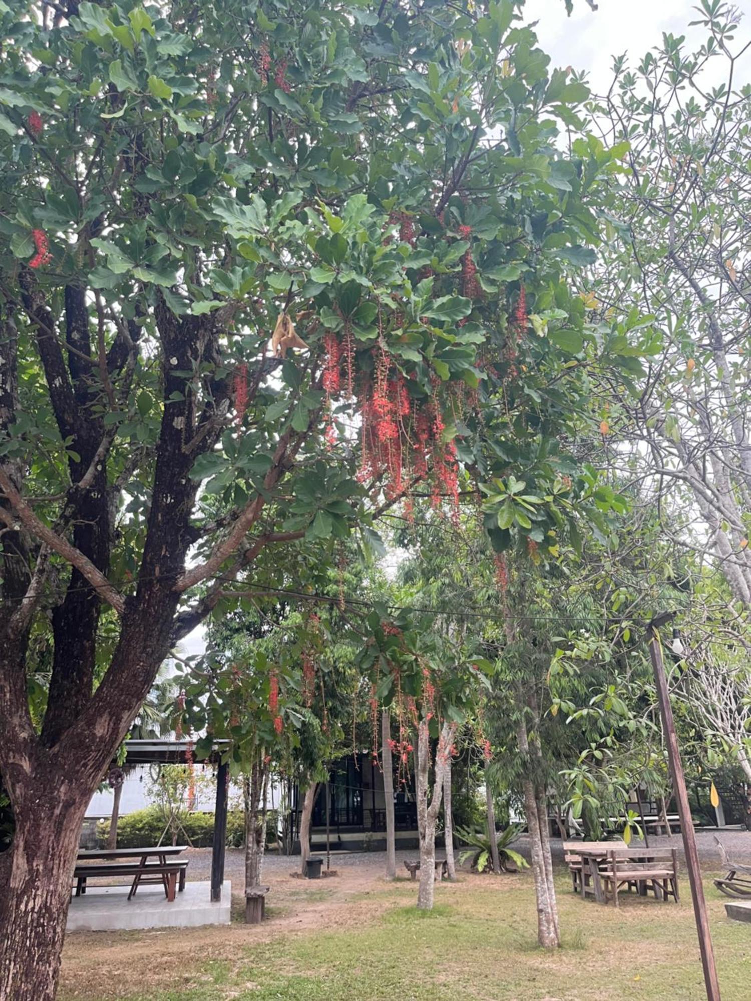 Sangkaset Resort Ban Mong Muang Экстерьер фото